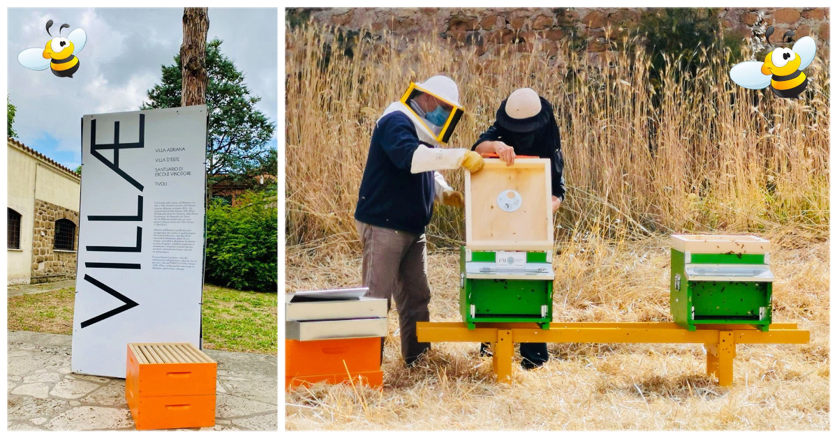 Apincittà a Villa Adriana: restauro ambientale e biomonitoraggio. Un percorso condiviso